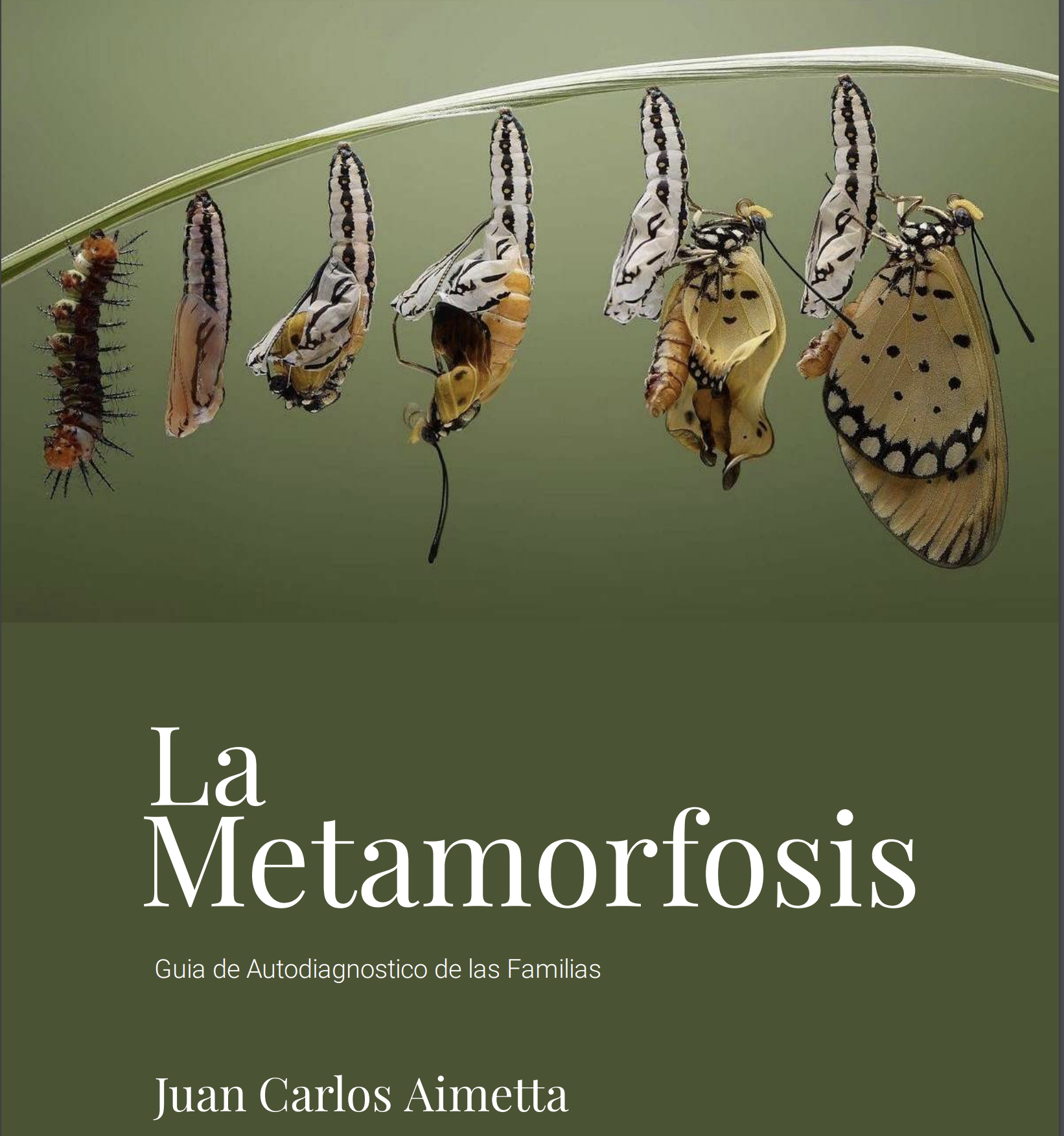 Metamorfosis de JC Aimetta